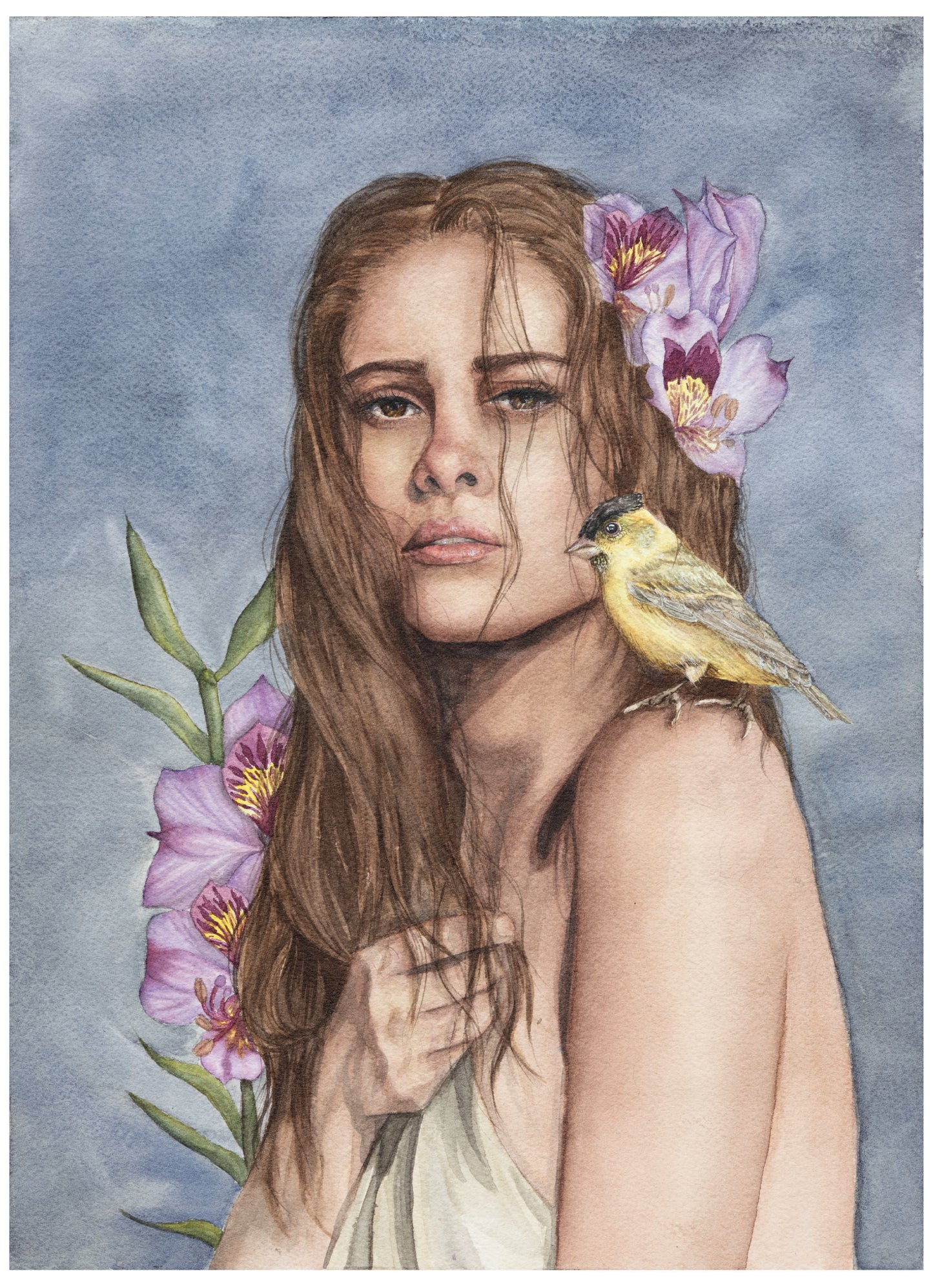 Print Fine Art Jilguero y alstroemerias A4 de Kim Bastias
