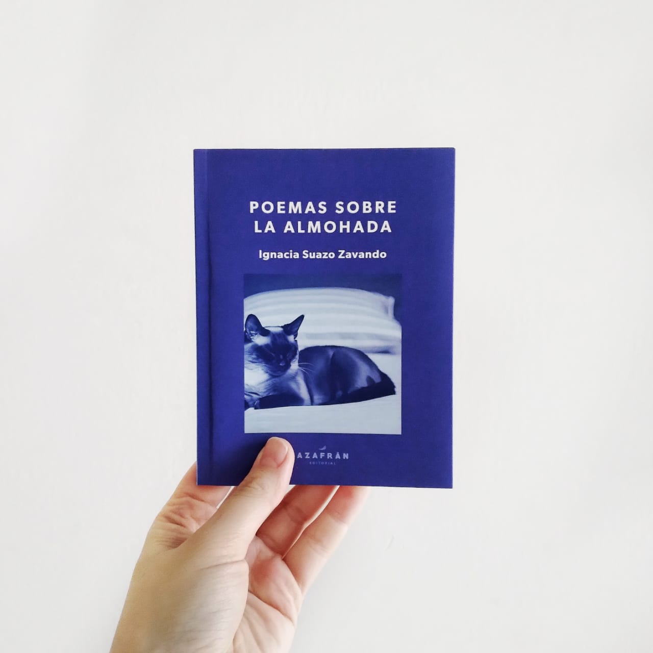 Libro "Poemas sobre la almohada" de Ignacia Suazo Zavando.