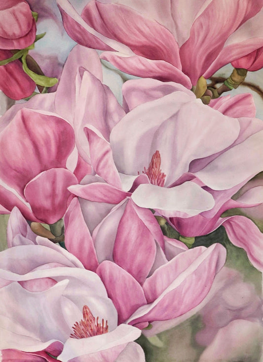 Print Fine Art magnolias de soulange A4 Kim Bastias